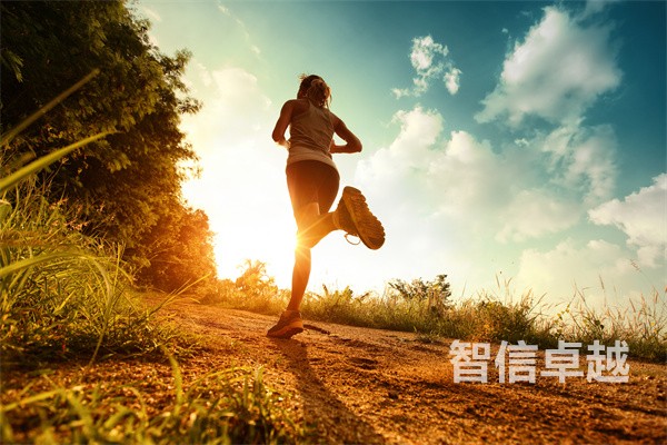 法律合同翻译公司哪家好（国内合同翻译公司排名）