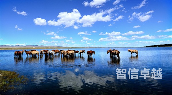 青海马来西亚语翻译公司(专业马来西亚语翻译)。今天为大家带来一篇关于马来西亚语翻译介绍文章,马来语介绍: 马来语是属于南岛语系的马来语-波利尼西亚语系,主要用于马来西亚及其邻国,如新加坡、泰国、文莱、菲律宾和印度尼西亚苏门答腊部分地区。 青海马来西亚语翻译公司(专业马来西亚语翻译)。今天为大家带来一篇关于马来西亚语翻译介绍文章,马来语介绍: 马来语是属于南岛语系的马来语-波利尼西亚语系,主要用于马来西亚及其邻国,如新加坡、泰国、文莱、菲律宾和印度尼西亚苏门答腊部分地区。