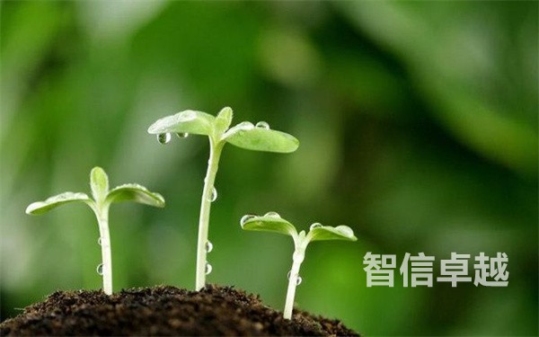 翻译公司哪家好-专业的翻译公司翻译流程 翻译公司哪家好-专业的翻译公司翻译流程