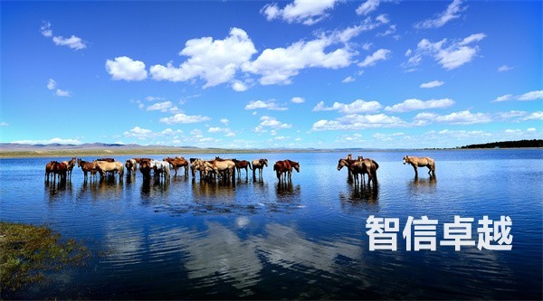 医学翻译公司-专业正规的荷兰语医学翻译 医学翻译公司-专业正规的荷兰语医学翻译