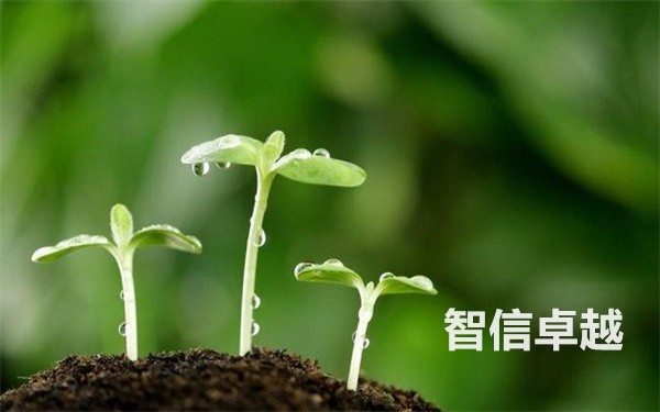 优秀的会议口译翻译公司字幕选-专业正规的日语口译翻译