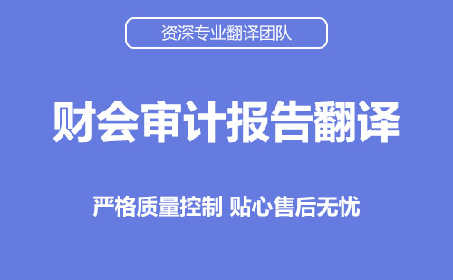 成都专业审计报告翻译