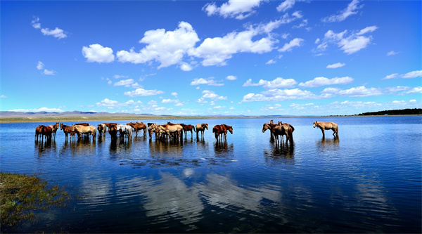 成都翻译公司,影视翻译,影视翻译的流程